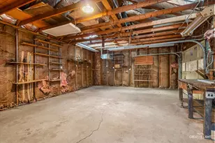 118 S Union St, Elgin, IL 60123 - Photo 29