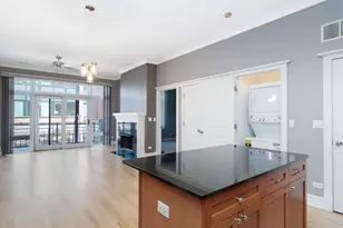 800 W Cornelia Ave, Chicago, IL 60657 - Photo 9