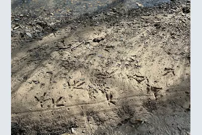 000 E 200th Avenue, Mazon, IL 62443 - Photo 7