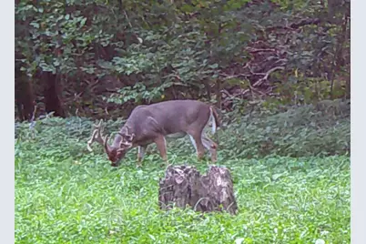 000 E 200th Avenue, Mazon, IL 62443 - Photo 25