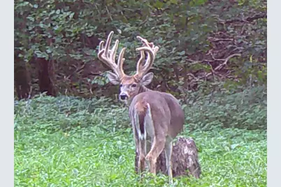 000 E 200th Avenue, Mazon, IL 62443 - Photo 1