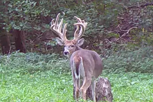 000 E 200th Ave, Mazon, IL 62443 - Photo 1