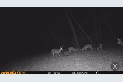 000 E 200th Avenue, Mazon, IL 62443 - Photo 21