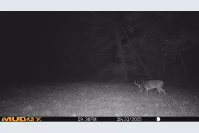 000 E 200th Avenue, Mazon, IL 62443 - Photo 23