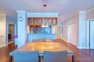 1629 S Prairie Ave, Chicago, IL 60616 - Photo 33