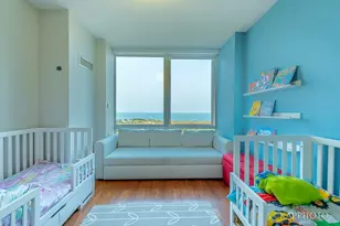 1629 S Prairie Ave, Chicago, IL 60616 - Photo 47