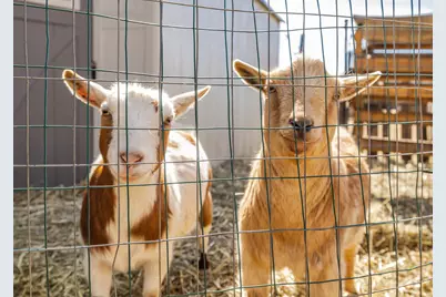 3 Eagle Pointe Drive, Barrington Hills, IL 60010 - Photo 69