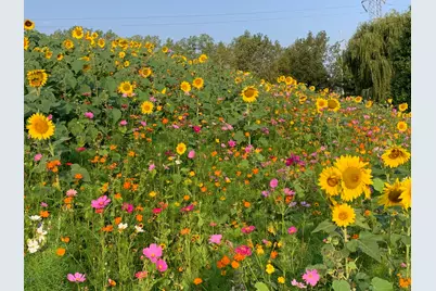 3 Eagle Pointe Drive, Barrington Hills, IL 60010 - Photo 55