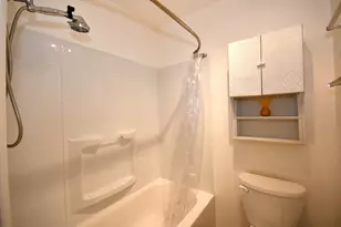 358 Thistle Dr, Bolingbrook, IL 60490 - Photo 17