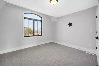 22303 Majestic Lane, Frankfort, IL 60423 - Photo 17