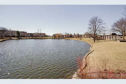 1101 S Hunt Club Drive #403, Mount Prospect, IL 60056 - Photo 37