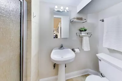 342 Park Avenue, Highland Park, IL 60035 - Photo 25