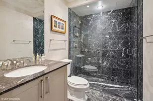 159 E Walton Pl, Chicago, IL 60611 - Photo 15