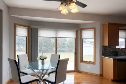 617 The Hague, Peotone, IL 60468 - Photo 17