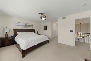 9711 Aberdeen Ln, Huntley, IL 60142 - Photo 19