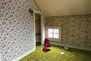 302 E 2nd St, Prophetstown, IL 61277 - Photo 25