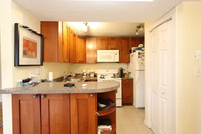 10111 Old Orchard Court #203, Skokie, IL 60076 - Photo 11