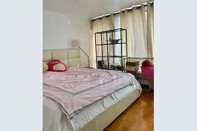 1451 E 55th Street #430N, Chicago, IL 60615 - Photo 9