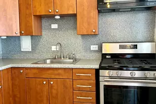 1451 E 55th St, Chicago, IL 60615 - Photo 5