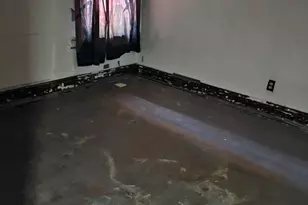 5319 S Calumet Ave, Chicago, IL 60615 - Photo 7