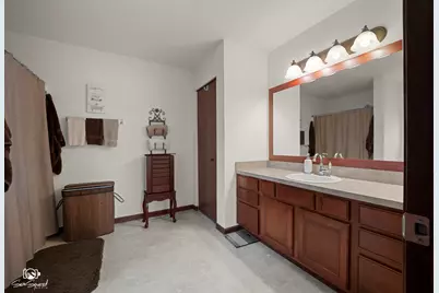 25164 S Plainview Drive, Channahon, IL 60410 - Photo 19