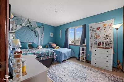 25164 S Plainview Drive, Channahon, IL 60410 - Photo 21