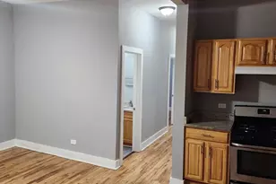 1264 S St Louis Ave, Chicago, IL 60623 - Photo 3