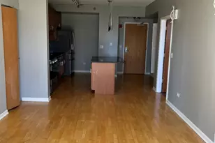 1250 S Indiana Ave, Chicago, IL 60605 - Photo 3