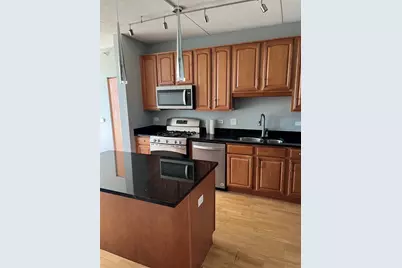 1250 S Indiana Avenue #606, Chicago, IL 60605 - Photo 5