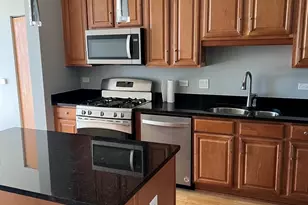 1250 S Indiana Ave, Chicago, IL 60605 - Photo 5