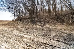 0 Holly Rd, Fulton, IL 61252 - Photo 13