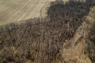 0 Holly Rd, Fulton, IL 61252 - Photo 51