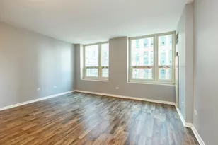 345 N La Salle Dr, Chicago, IL 60654 - Photo 9