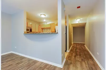 345 N La Salle Drive #1009, Chicago, IL 60654 - Photo 11