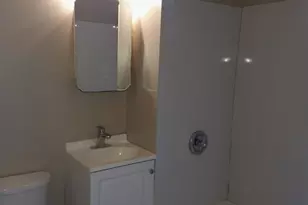 3946 W Lexington St, Chicago, IL 60624 - Photo 23