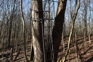 17539 E 2600 North Rd, Lexington, IL 61753 - Photo 95