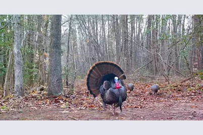 17539 E 2600 North Road, Lexington, IL 61753 - Photo 83