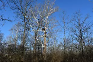 17539 E 2600 North Rd, Lexington, IL 61753 - Photo 87