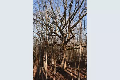 17539 E 2600 North Road, Lexington, IL 61753 - Photo 85