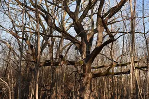 17539 E 2600 North Rd, Lexington, IL 61753 - Photo 85