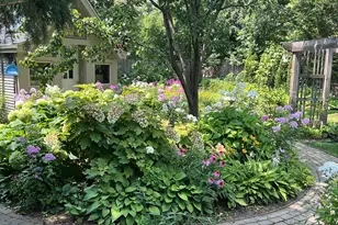 2142 Harrison St, Glenview, IL 60025 - Photo 55