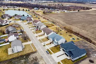 1175 S Farmstone Dr, Diamond, IL 60416 - Photo 41