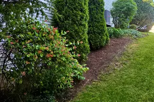 7017 Nathan Ln, Carpentersville, IL 60110 - Photo 33