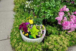 7017 Nathan Ln, Carpentersville, IL 60110 - Photo 35