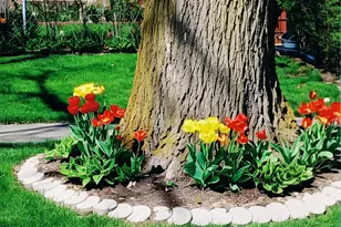 18547 Lexington Ave, Homewood, IL 60430 - Photo 27