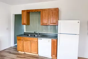 319 Missouri St, Atwood, IL 61913 - Photo 9