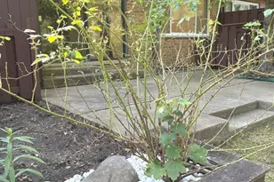 567 Cress Creek Ln, Crystal Lake, IL 60014 - Photo 33