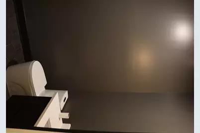 10009 S Beverly Avenue, Chicago, IL 60643 - Photo 13