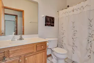 670 S Wellston Ln, Romeoville, IL 60446 - Photo 23