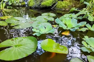 2829 Chippewa Dr, Bourbonnais, IL 60914 - Photo 19